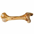 Jumbo bone (Jumboknochen) (1 Piece)